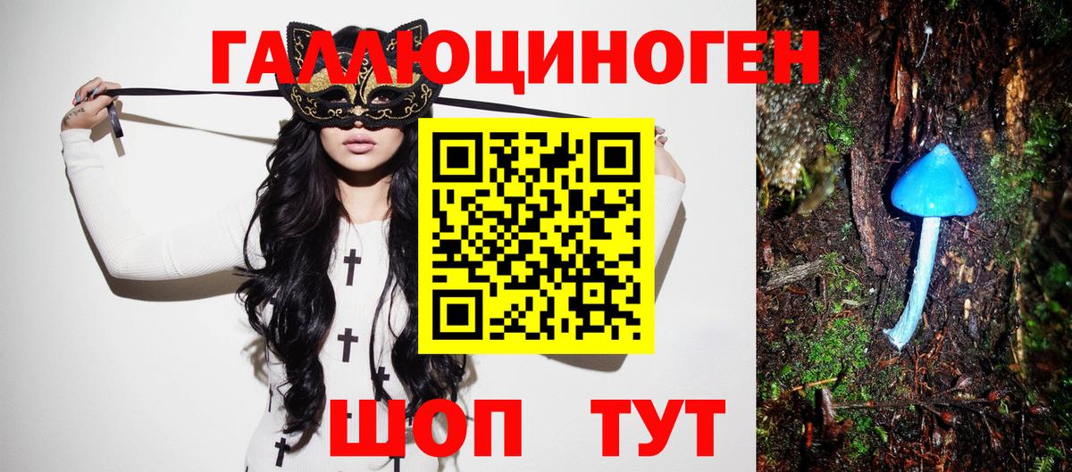 Будённовск  Галлюциногенные грибы прущие грибы  Вход с VPN 